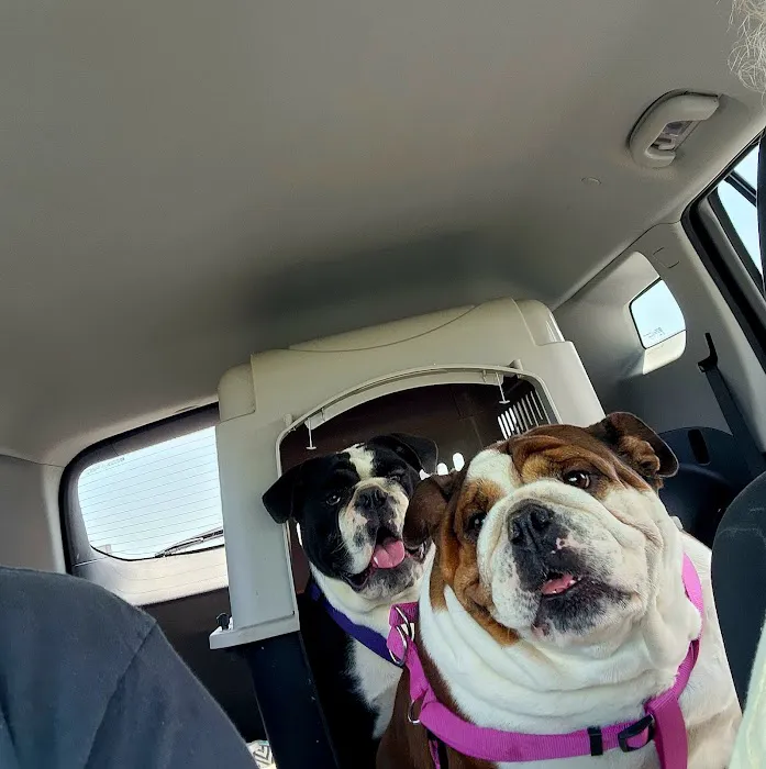 Mesa Animal Clinic Picture 5