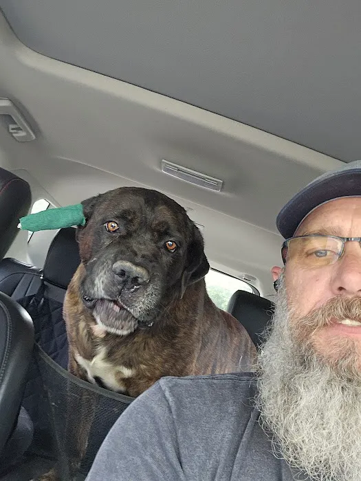 Mesa Animal Clinic Picture 7