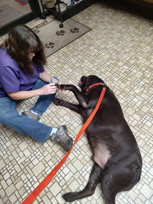 Girard Animal Hospital Picture 3