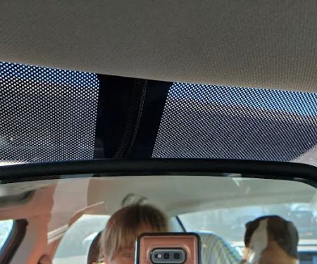 Girard Animal Hospital