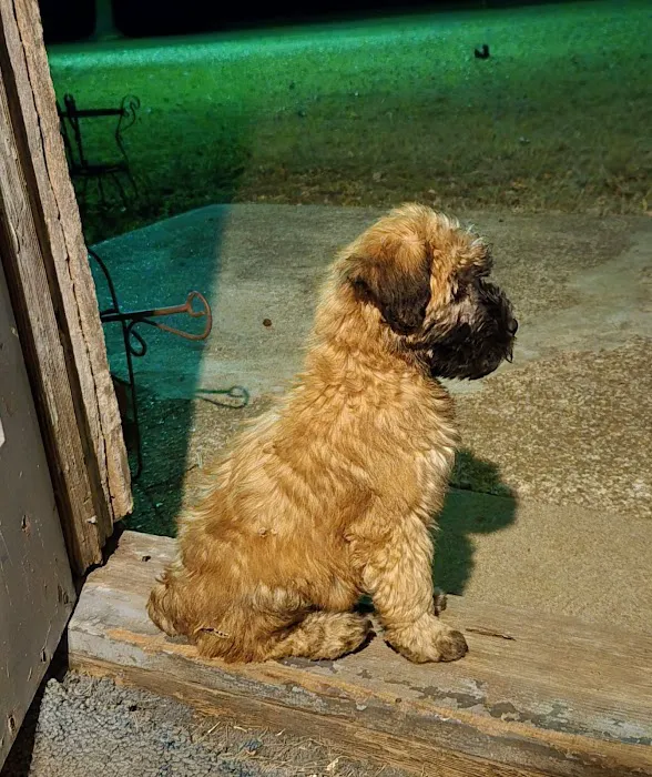 Girard Animal Hospital Picture 2