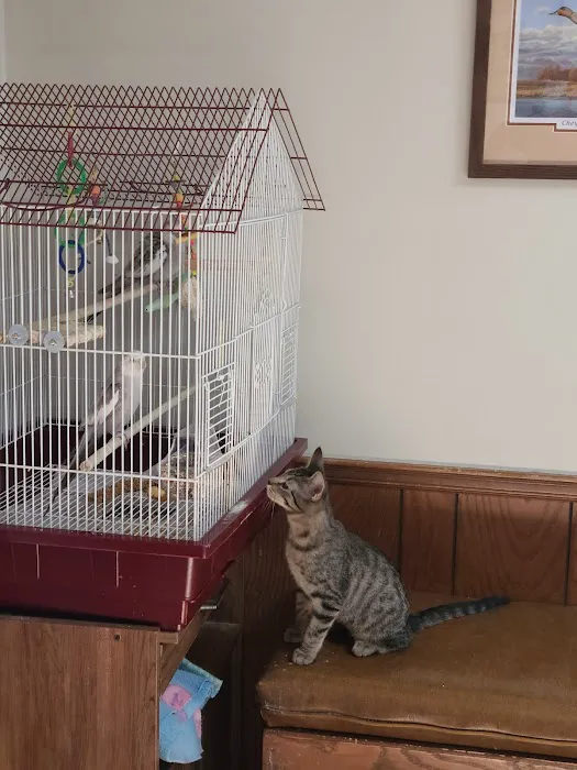 Girard Animal Hospital Picture 7