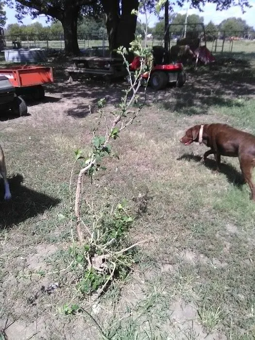 Dewey Veterinary Clinic Picture 1