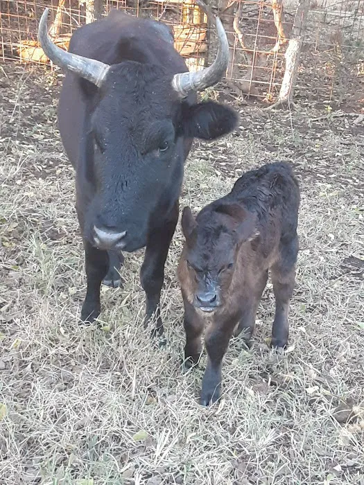 Stites Charles DVM Picture 2