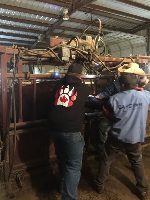 Stites Charles DVM Picture 5