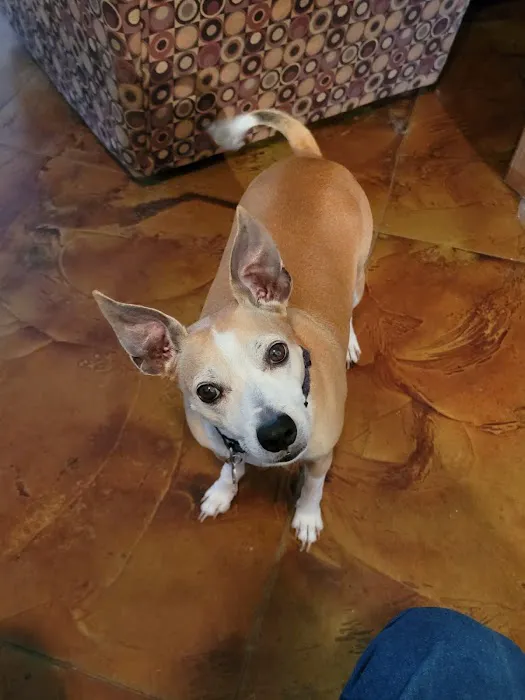 Stites Charles DVM Picture 3