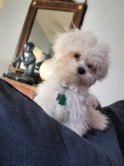 Stites Charles DVM Picture 6