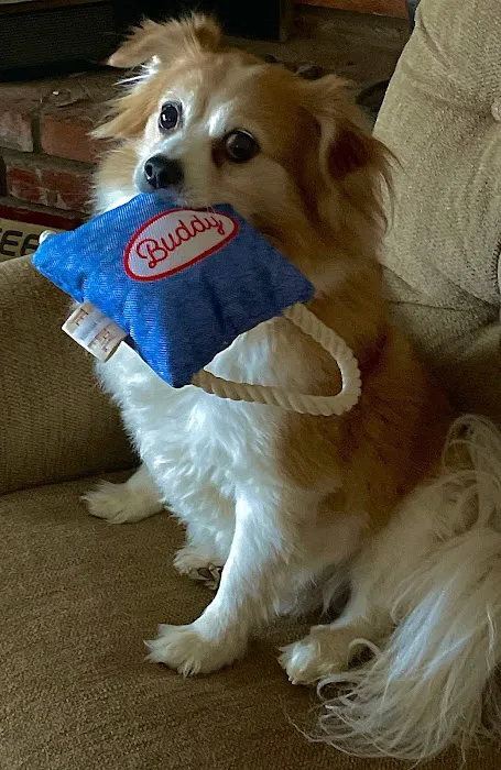 Arrowhead Veterinary Clinic Picture 4