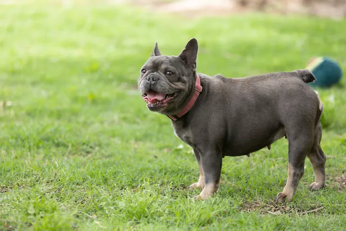 Arrowhead Veterinary Clinic Picture 1