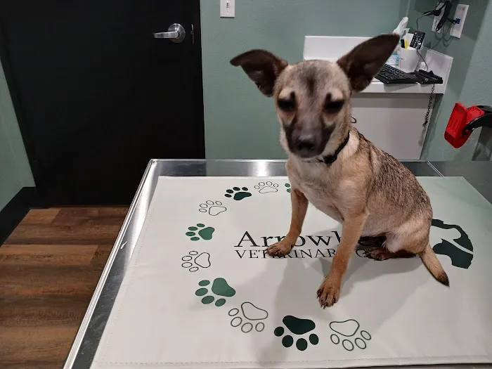 Arrowhead Veterinary Clinic Picture 2