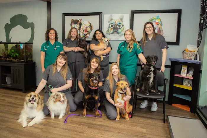 Arrowhead Veterinary Clinic Picture 8