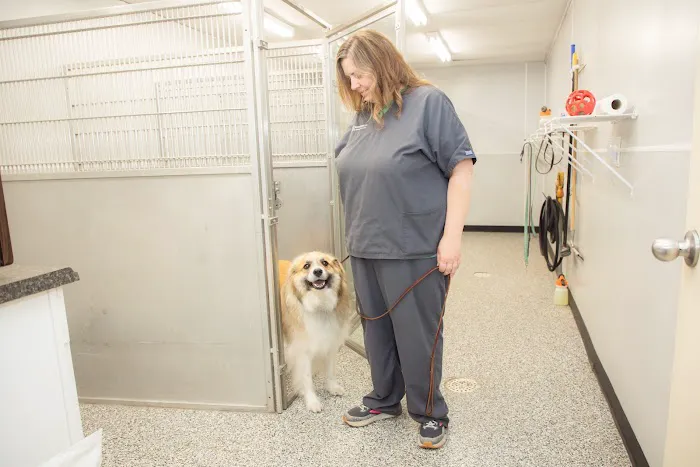 Arrowhead Veterinary Clinic Picture 6