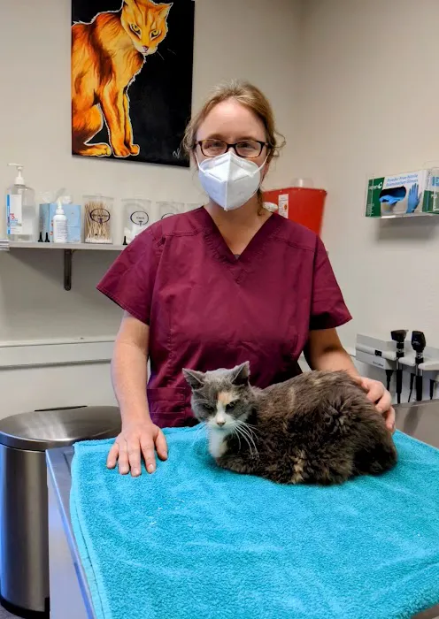 4 The Animals Veterinary Clinic Picture 1