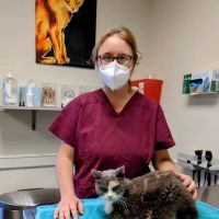 4 The Animals Veterinary Clinic ico