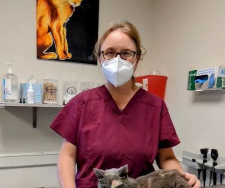 4 The Animals Veterinary Clinic