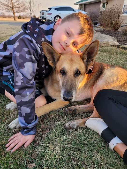 4 The Animals Veterinary Clinic Picture 2