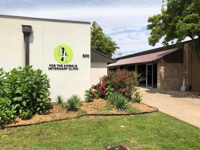 4 The Animals Veterinary Clinic Picture 10