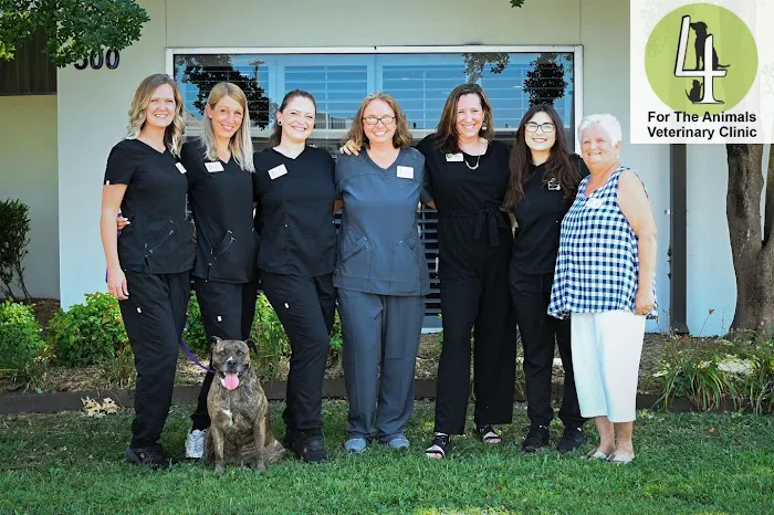 4 The Animals Veterinary Clinic Picture 9