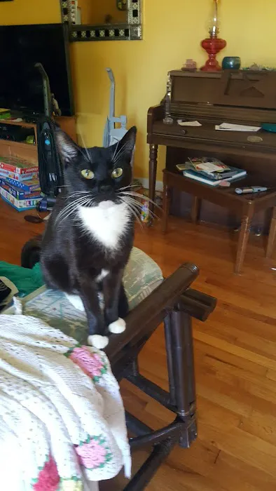 Manley Joel a DVM Picture 1