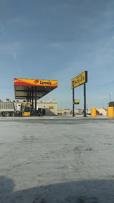 Manley Joel a DVM Picture 5