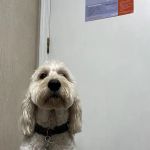 Manley Animal Hospital