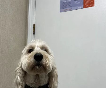 Manley Animal Hospital