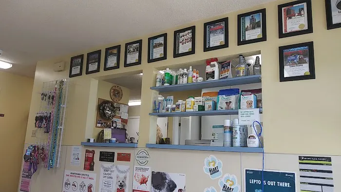 Manley Animal Hospital Picture 3