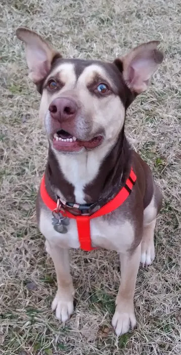 Manley Animal Hospital Picture 8