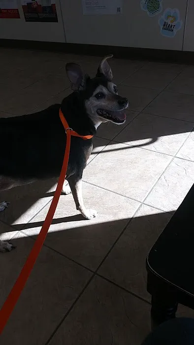 Manley Animal Hospital Picture 7