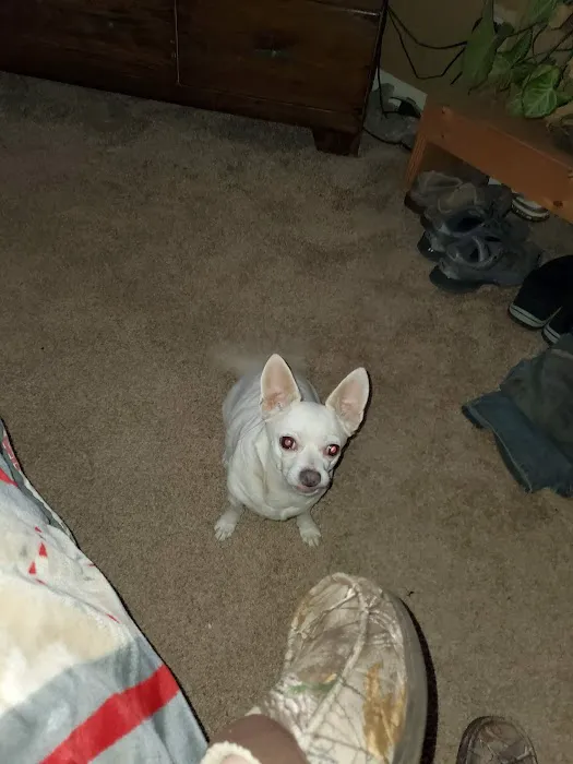 Manley Animal Hospital Picture 9