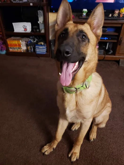 Manley Animal Hospital Picture 5