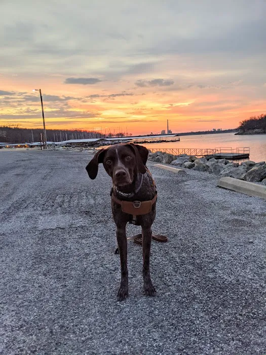 Manley Animal Hospital Picture 10