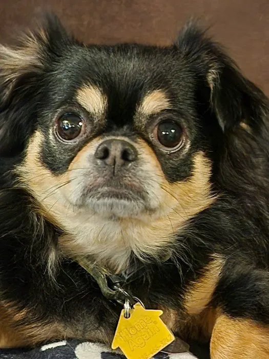 Madison Pet Clinic Picture 1