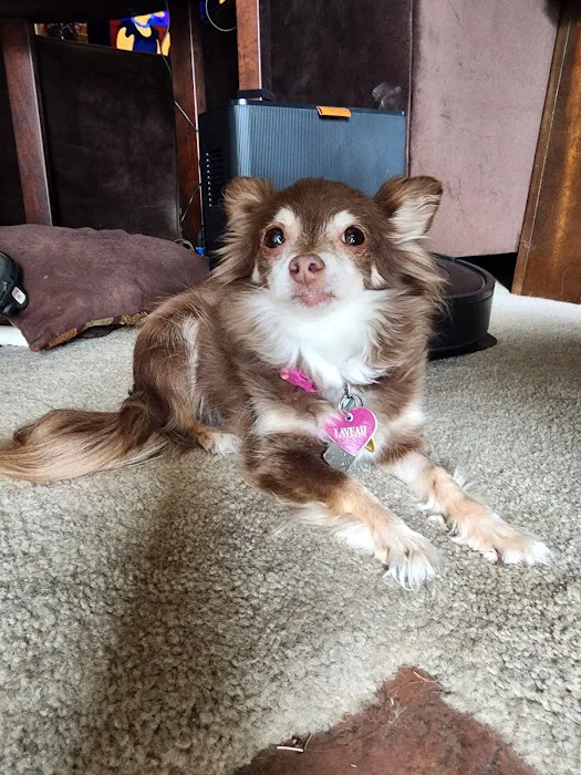 Madison Pet Clinic Picture 6