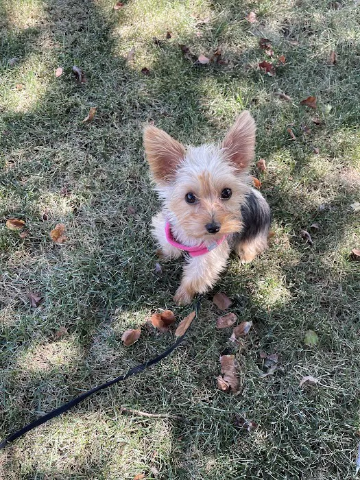 Madison Pet Clinic Picture 10