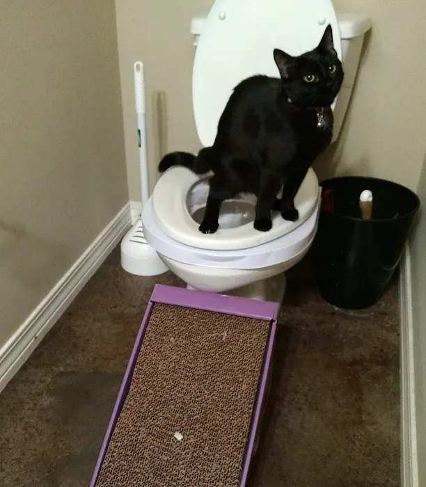 Madison Pet Clinic Picture 8