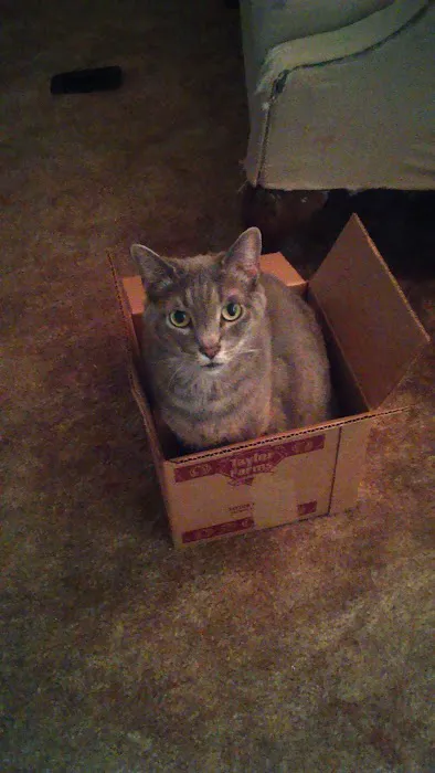 Madison Pet Clinic Picture 9