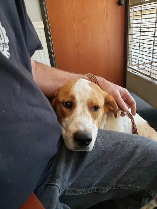 Hooves Paws & Claws Picture 2