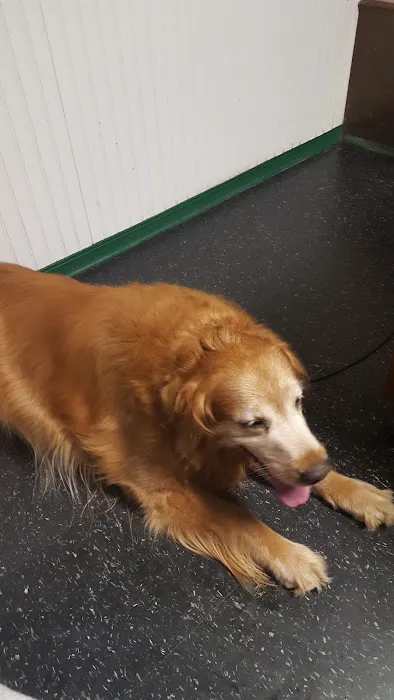 Hooves Paws & Claws Picture 10