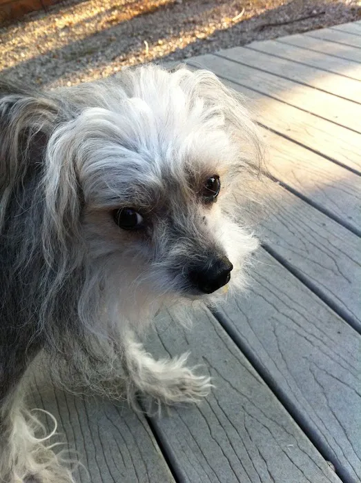 Hooves Paws & Claws Picture 9