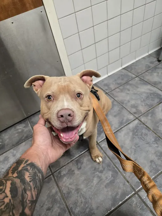 Eastside Veterinary Hospital Picture 4