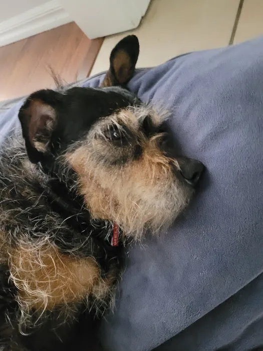 Eastside Veterinary Hospital Picture 7