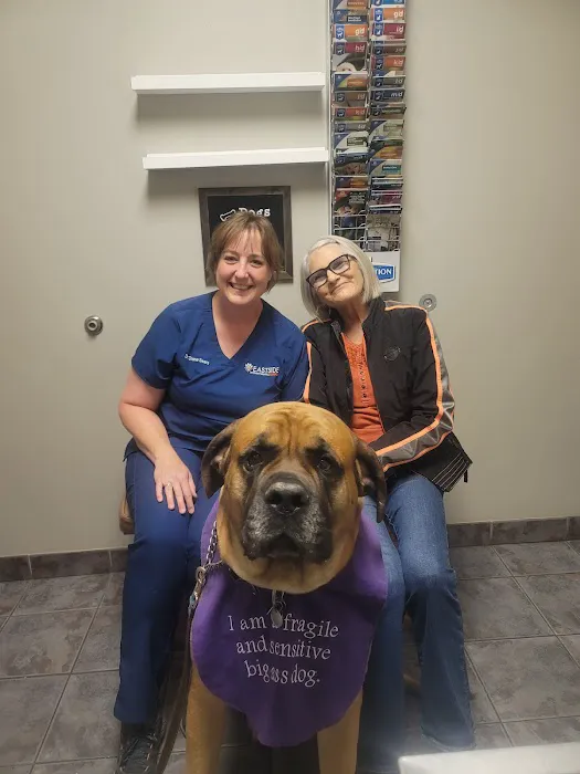 Eastside Veterinary Hospital Picture 5