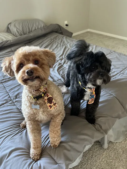 Eastside Veterinary Hospital Picture 3