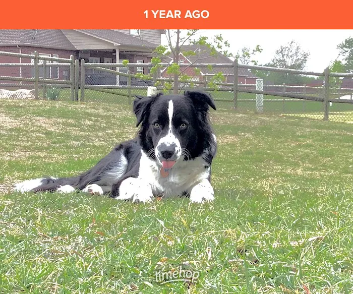 Eastside Veterinary Hospital Picture 10