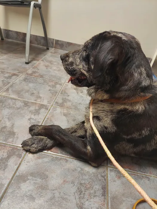 Eastside Veterinary Hospital Picture 8