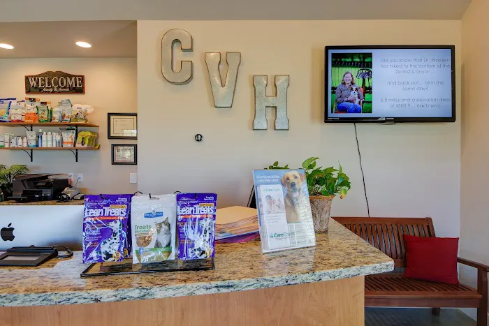 VCA Collinsville Animal Hospital Picture 3