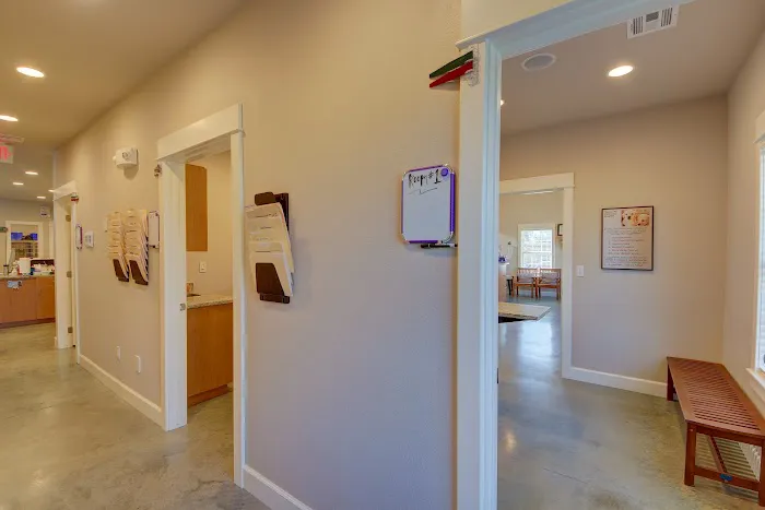 VCA Collinsville Animal Hospital Picture 8