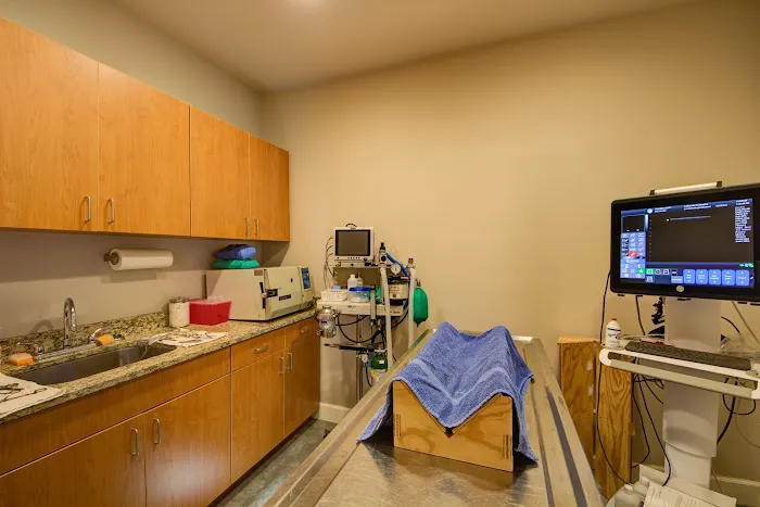 VCA Collinsville Animal Hospital Picture 7