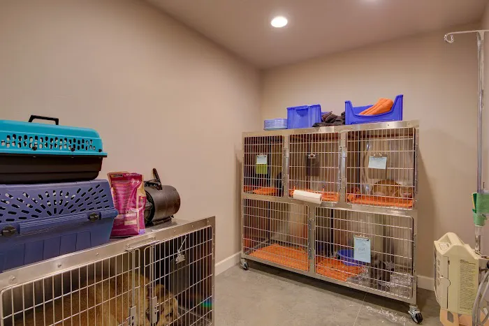 VCA Collinsville Animal Hospital Picture 10